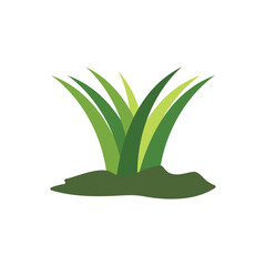 Green grass vector