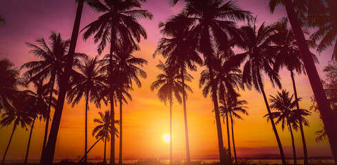 Fototapeta na wymiar Silhouette coconut palm trees on beach at sunset.