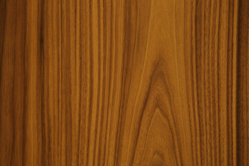 Natural wooden panel background. Light brown wood texture. 