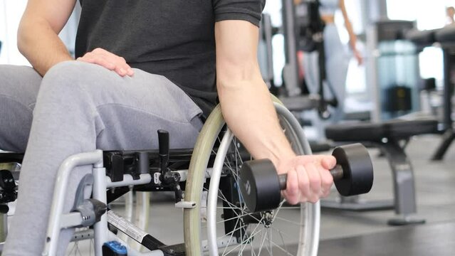 A middle-aged man in a wheelchair is working out in the gym. Lifting dumbbells in the gym.