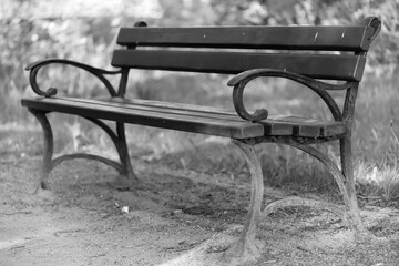 Wooden bench in a city park
