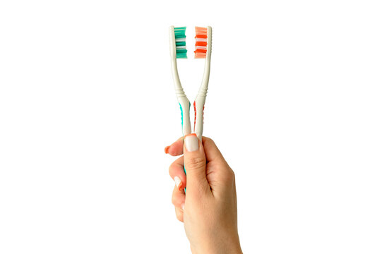 A woman's hand holds toothbrushes on a white background. Oral hygiene.