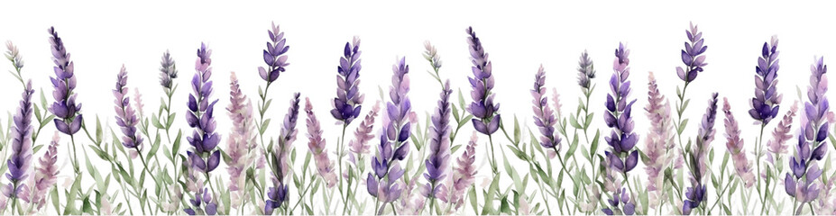 Seamless border of tender watercolor lavender flowers border on transparent background, AI generated - obrazy, fototapety, plakaty