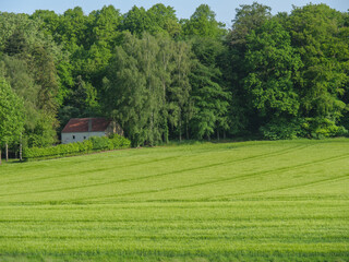 Fr&uuml;hling  im M&uuml;nsterland