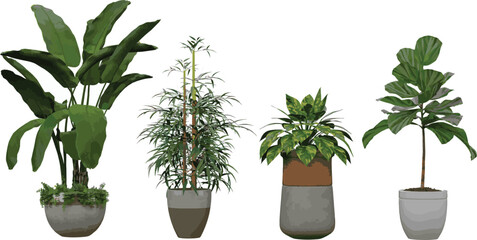 Beautiful plants in decorative pots isolated on transparent background 3D render png tree