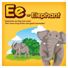 Naklejka premium Ee Elephant