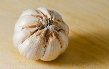 Fresh garlic bulb on a wooden cutting board