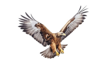 Fototapeta premium Majestic Soar: Eagle on Transparent Background. Generative AI
