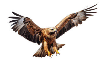 Obraz premium Majestic Soar: Eagle on Transparent Background. Generative AI