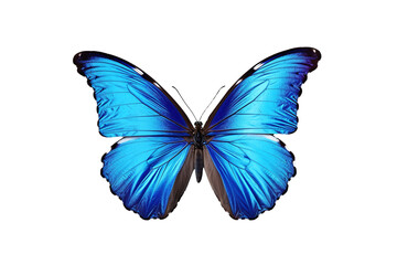 Obraz na płótnie Canvas Graceful Flutter: Butterfly on Transparent Background. Generative AI