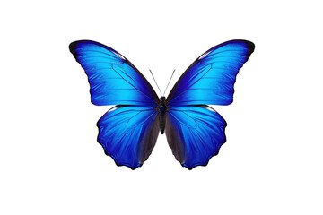 Graceful Flutter: Butterfly on Transparent Background. Generative AI