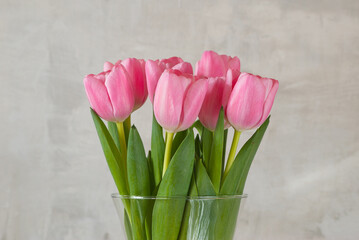 pink tulips in a vase on a gray background