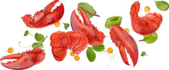 Falling lobster claws and tails with salad leaves isolated on white background with clipping path