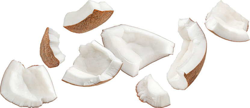 Falling coconuts pieces isolated on white background with clipping path, full depth of field
