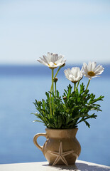 Spring flowers in a small vase on the background of the blue sky. Summer concept with starfish and blue background.