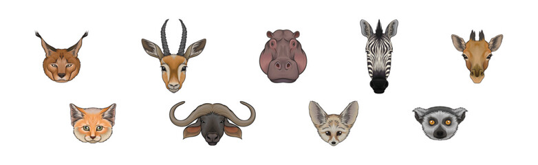 Wild African and South Living Animal Snout and Muzzle with Horns and Fur Vector Set