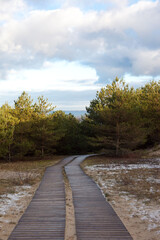 Fototapeta na wymiar Wooden ecological path stretching through a pine forest to the sea and sky. Sustainable tourism. 
