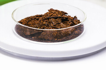 rusty metal, fragments of metal being corroded, in a petri dish, corrosion study