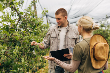A man inspects apple trees and a blond woman stands next to him in the orchard.