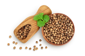 Dried coriander seeds in the wooden bowl with fresh green leaf isolated on white background. Top view. Flat lay