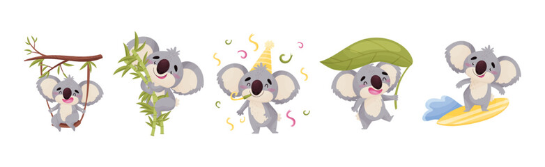 Cute Gray Koala Bear Engaged in Different Activity Vector Set
