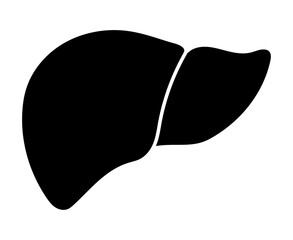 ヒトの肝臓のシルエット