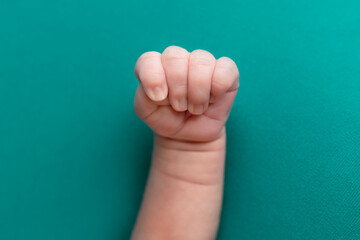 hands of a newborn baby. little hands