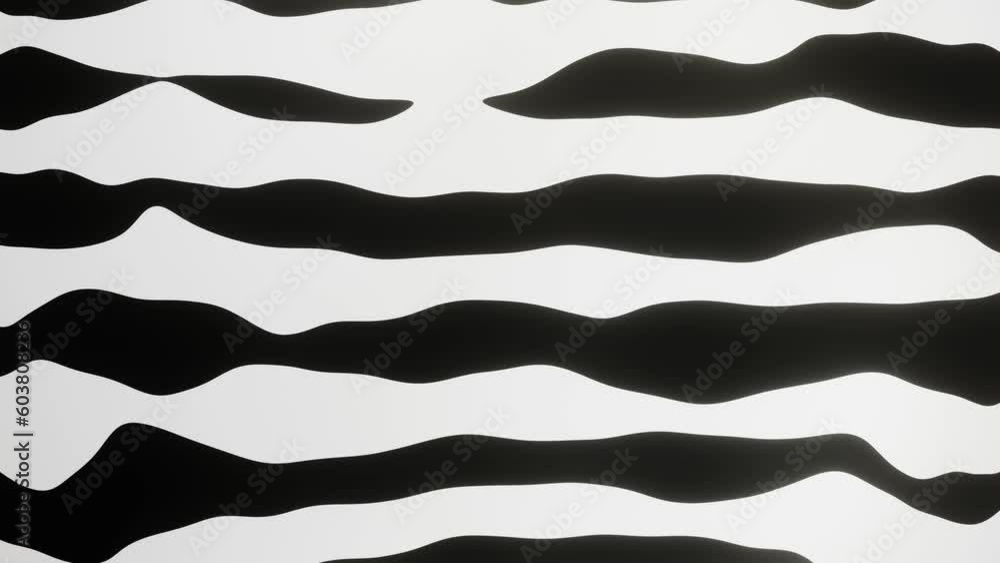 Poster abstract black and white wavy lines surface texture background animation. curvy pattern moving in di