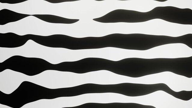 Abstract black and white wavy lines surface texture background animation. Curvy pattern moving in different direction.