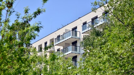 Eco architecture. Green tree and new apartment building. The harmony of nature and modernity....