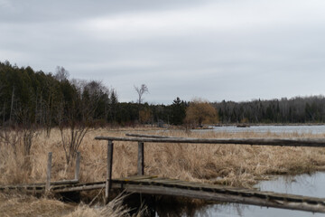 A Log Bridge in an Abandoned Marsh