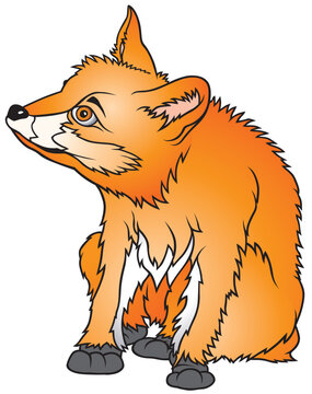 Fox 2 - coloured cartoon illustration as vector - Fox Cub
