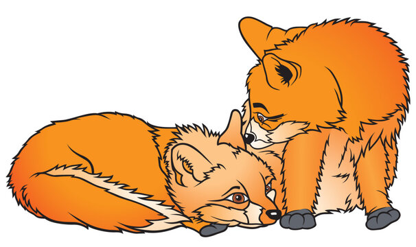 Two Foxes 1  - coloured cartoon illustration as vector