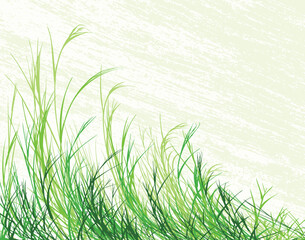 Editable vector illustration of long grass with grunge background on separate layer