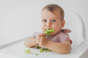 baby little girl 8 months old sits in a high chair and eats complementary foods green broccoli,...