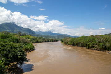 river of cloudy water in latin america next to many trees and the blue sky