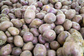 freshly harvested potatoes in a box