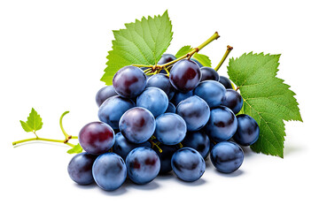 Fototapeta premium Blue grapes dry bunch isolated on white background, generative ai.