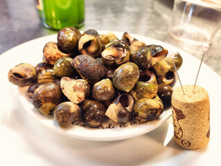Bigaros, cooked sea snails typical in Asturias, Spain, Europe
