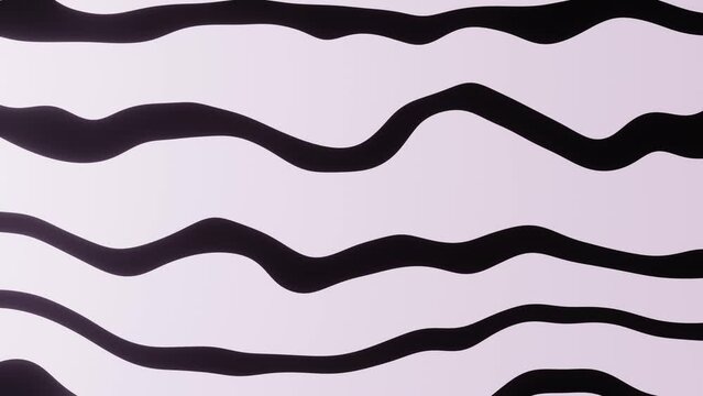 Abstract black and white wavy lines surface texture background animation. Curvy pattern moving from left to right.