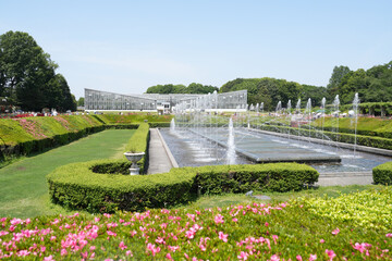 神代植物園