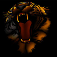 Fire Tiger - High detailed vector illustration with fire effects