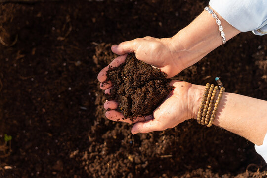 Young adult woman palms holding pile of dark brown dry soil. Closeup. Overhead photo from above.