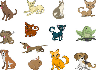 Fototapeta premium Some cats and dogs (plus a rabbit and a frog thrown in!)