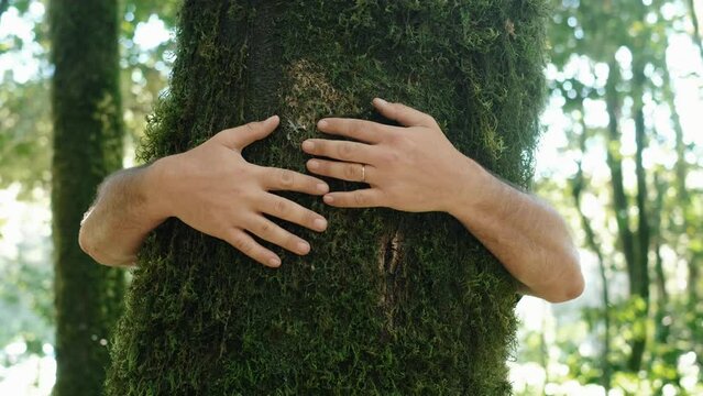 One man bonding a tree trunk in the forest. People hugging and loving nature in outdoor woods leisure activity alone. Concept of environment and travel, healthy wellbeing lifestyle. Natural life