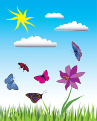 Vector illustration of many flying butterflies in green meadow.