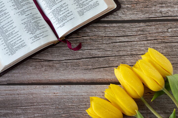 Open holy bible book and yellow tulips on wooden table. Top view. Open holy bible book and yellow...