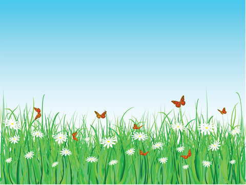 Illustration of butterflies, daisies and grass. Each blade of grass is individual