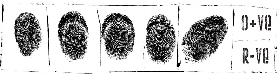 Vector Image of a Prison Sheet with fingerprints and blood test