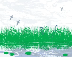 Foto op Plexiglas Vector illustration of birds in a wetland habitat © Designpics